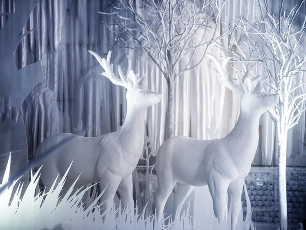 《极爱》-白金一号婚礼梦工厂策划