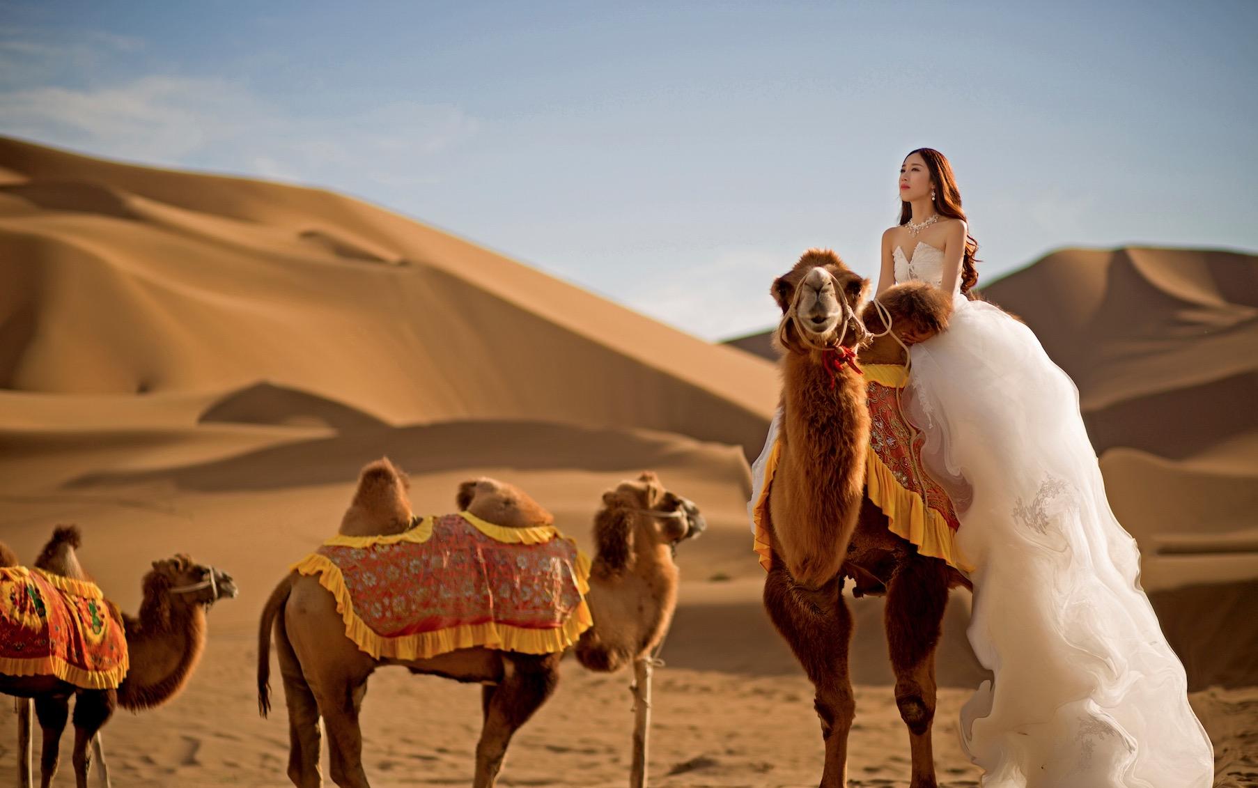 12服8造+特色外景（底片全送+超值禮包）