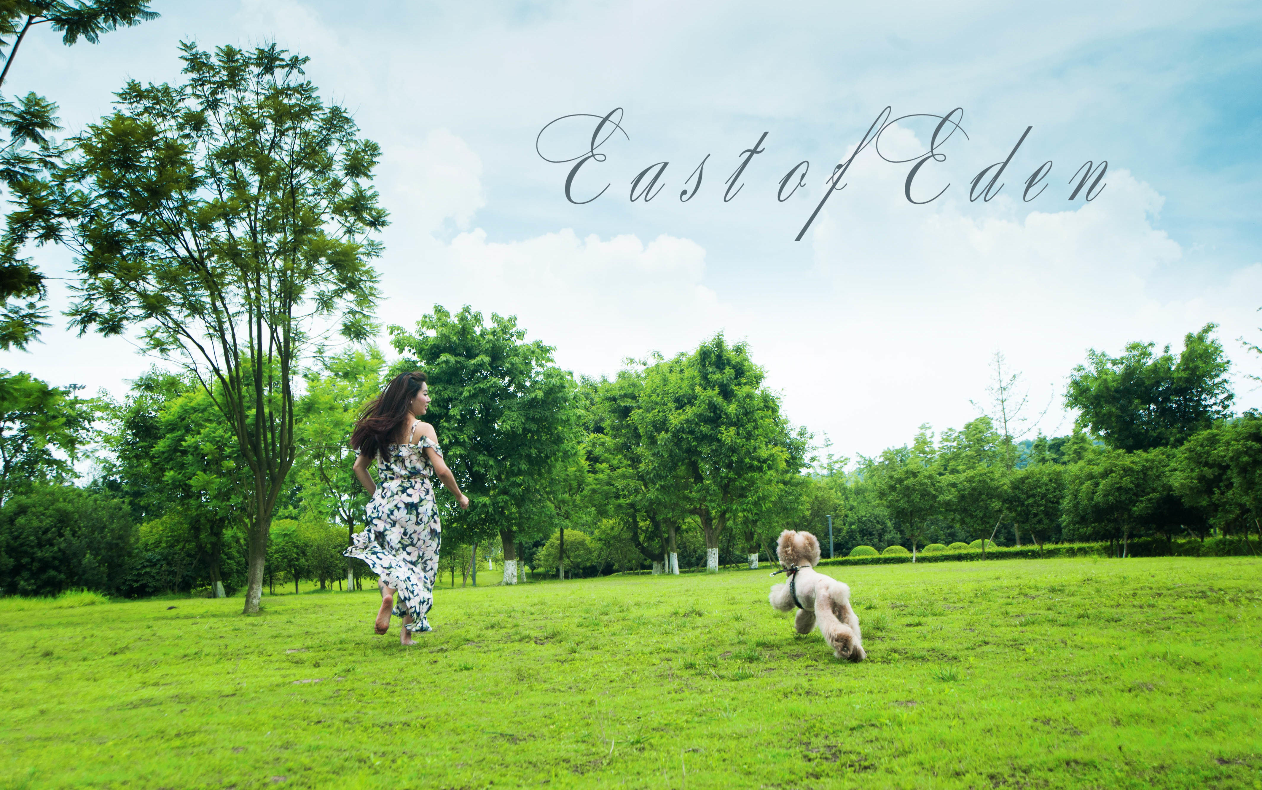 【西朵视觉摄影】——韩式定制婚纱摄影 送夜景