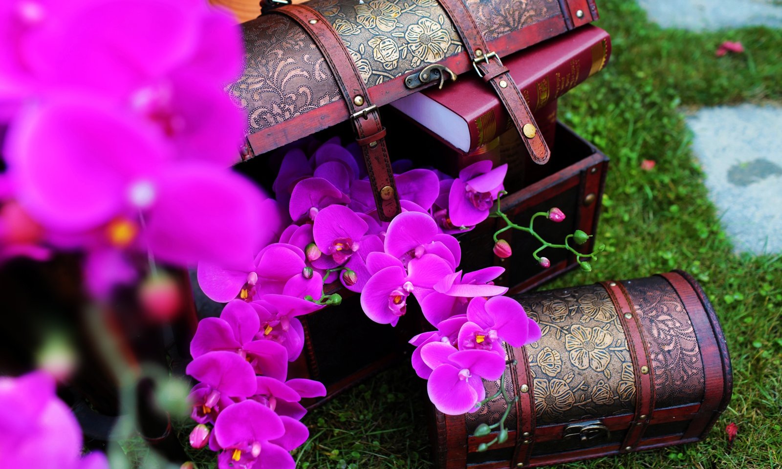 【成都唯爱婚礼作品】异国风情的午后秘密花园