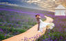 【影言视觉】--香薰谷《紫色回忆》薰衣草系列