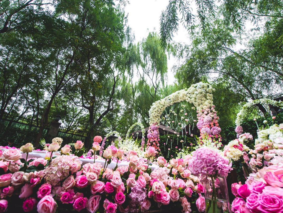 LEPAD乐派福楼渐变色《卡农》