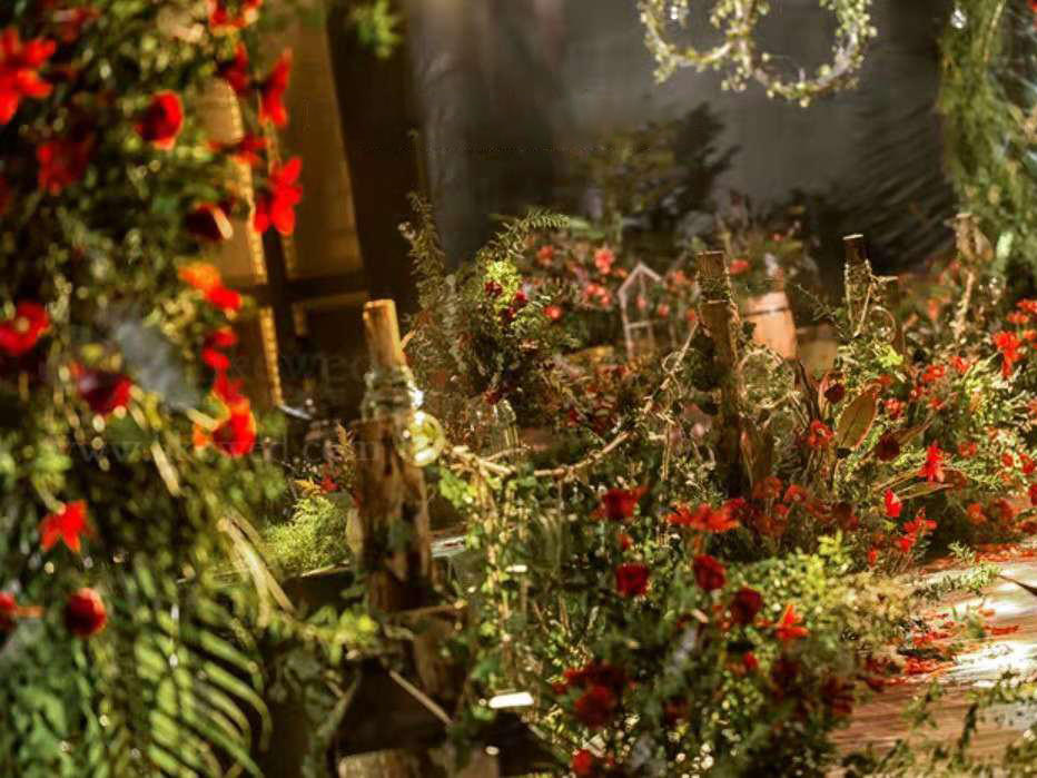 【sunny喜铺】森林系 绿色主题“谜” 