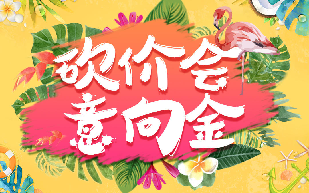 9元抵1000元抵价券|66婚嫁节砍价会意向金