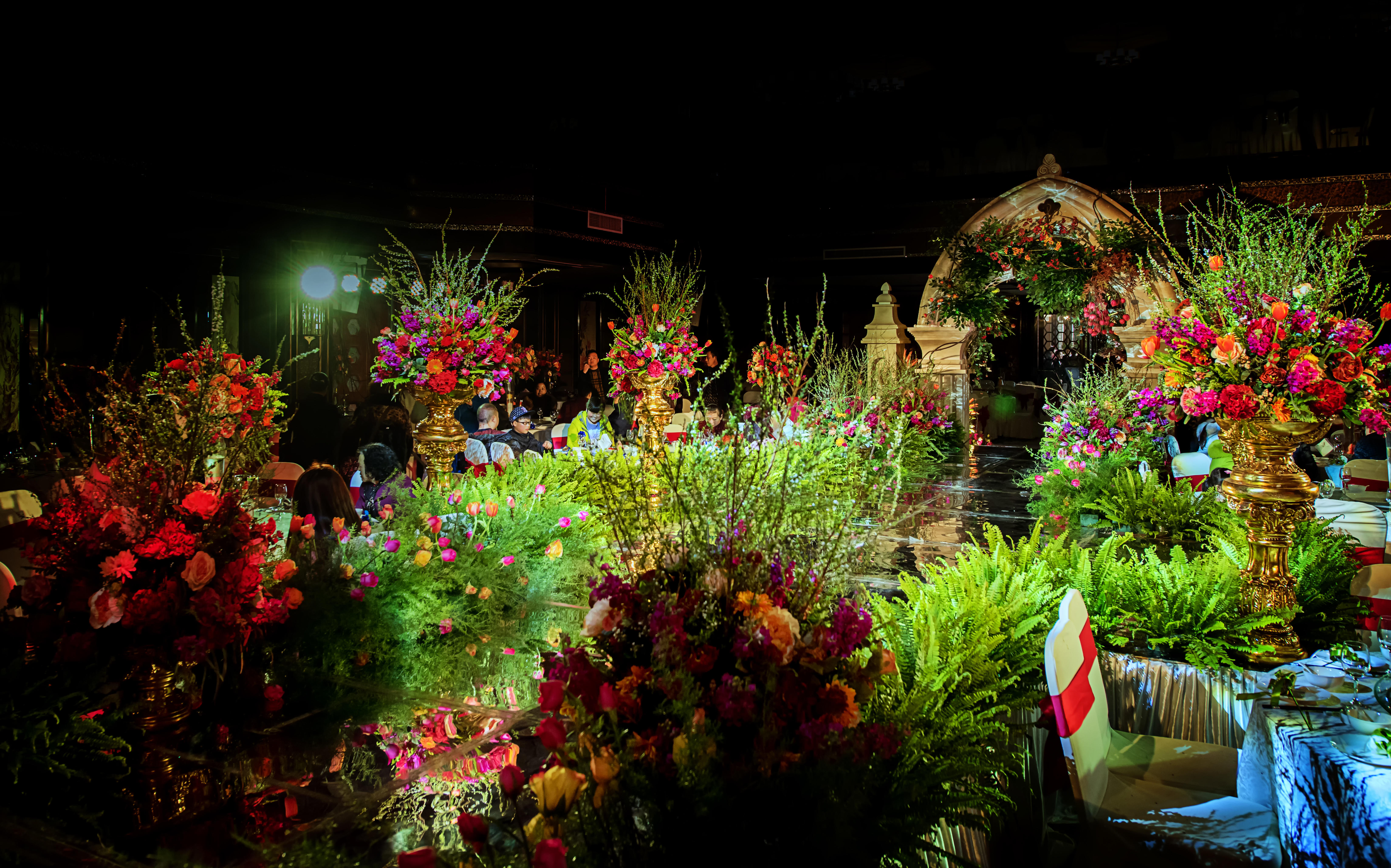 广汉巴黎婚纱策划今日东坡沐光森林暗场