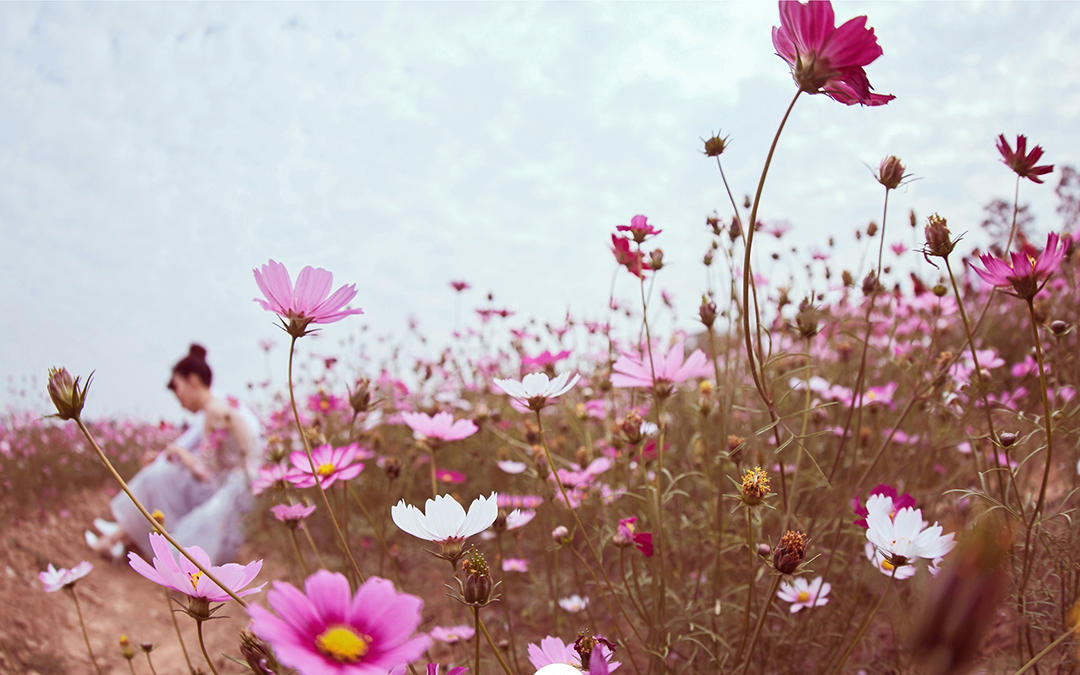 【韩国名匠·大连】原创水中婚纱/+10服10造