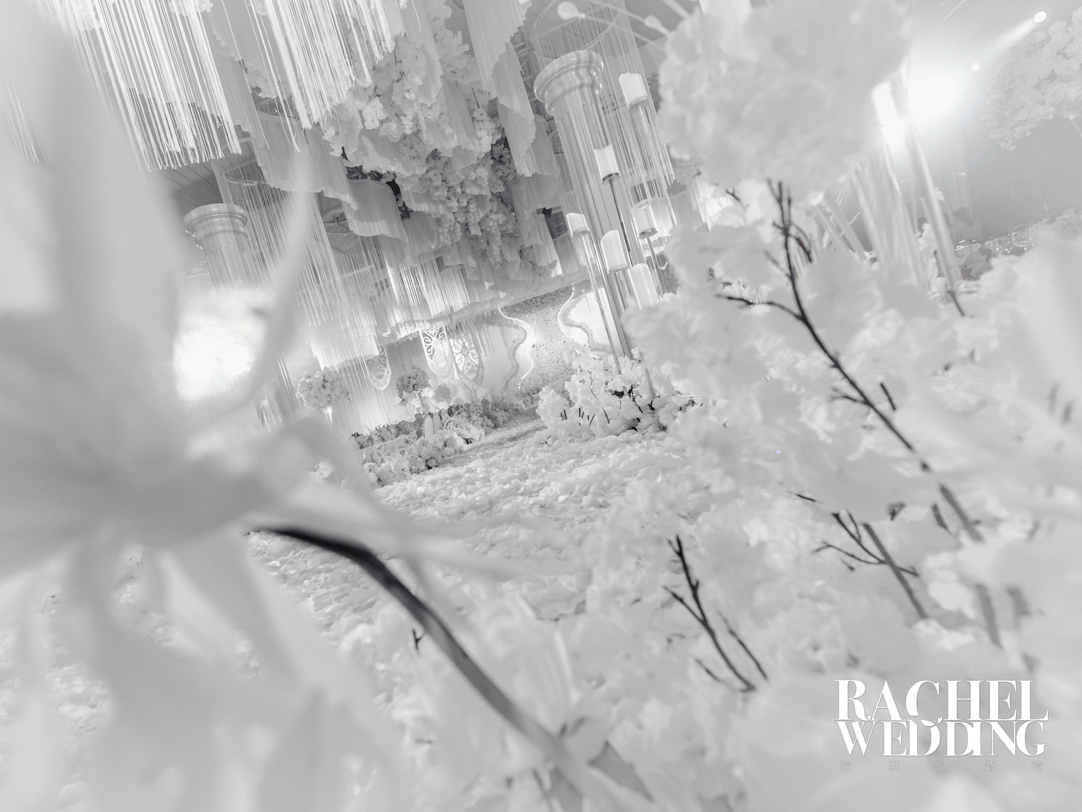 【Wings of time】时光之翼主题婚礼