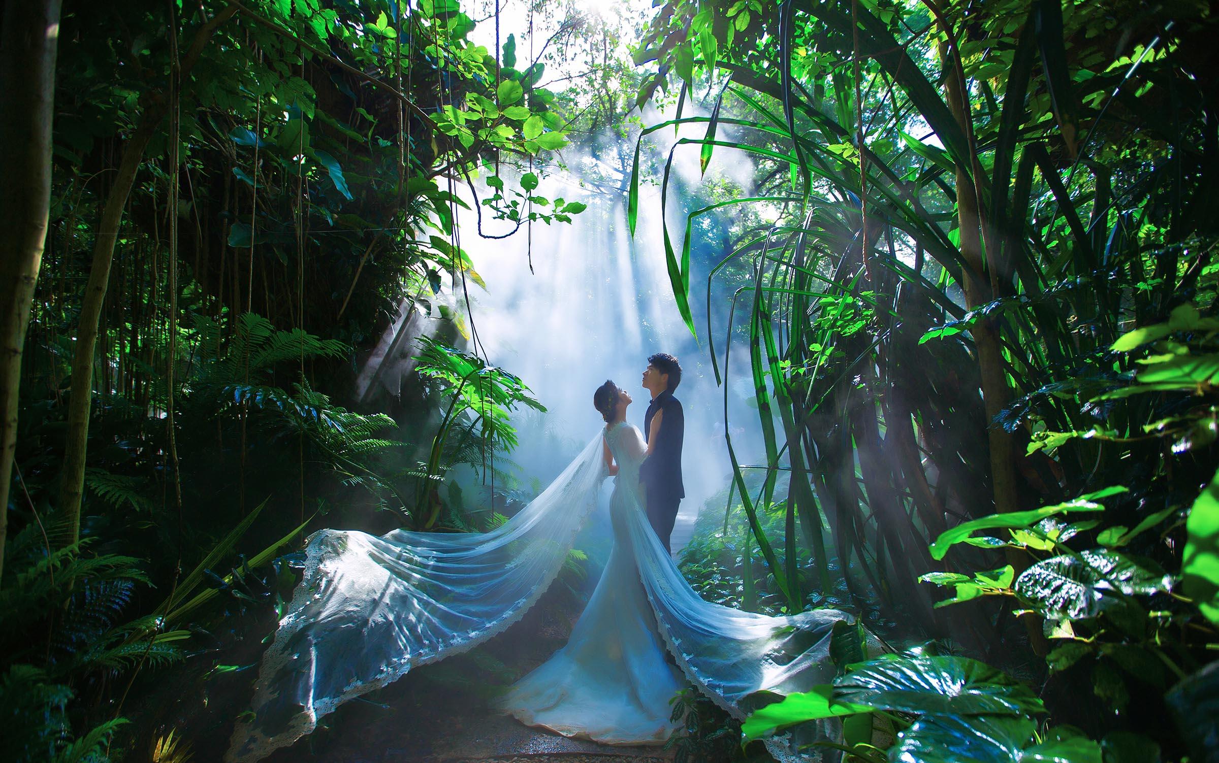 石家庄【TP摄影】工作室3899特价套餐