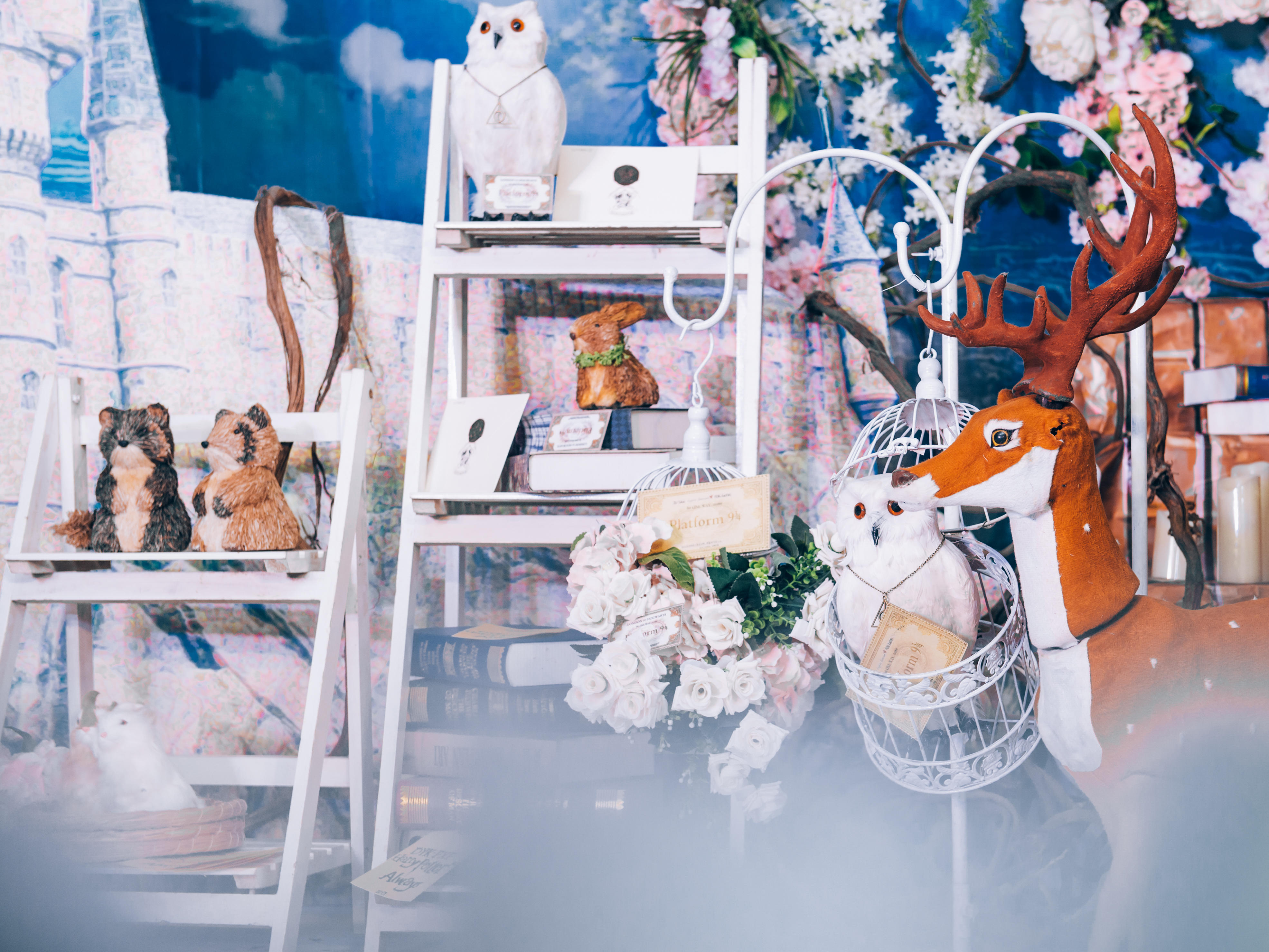 温迪婚礼—定制主题婚礼场布+摄影+主持+灯光音响