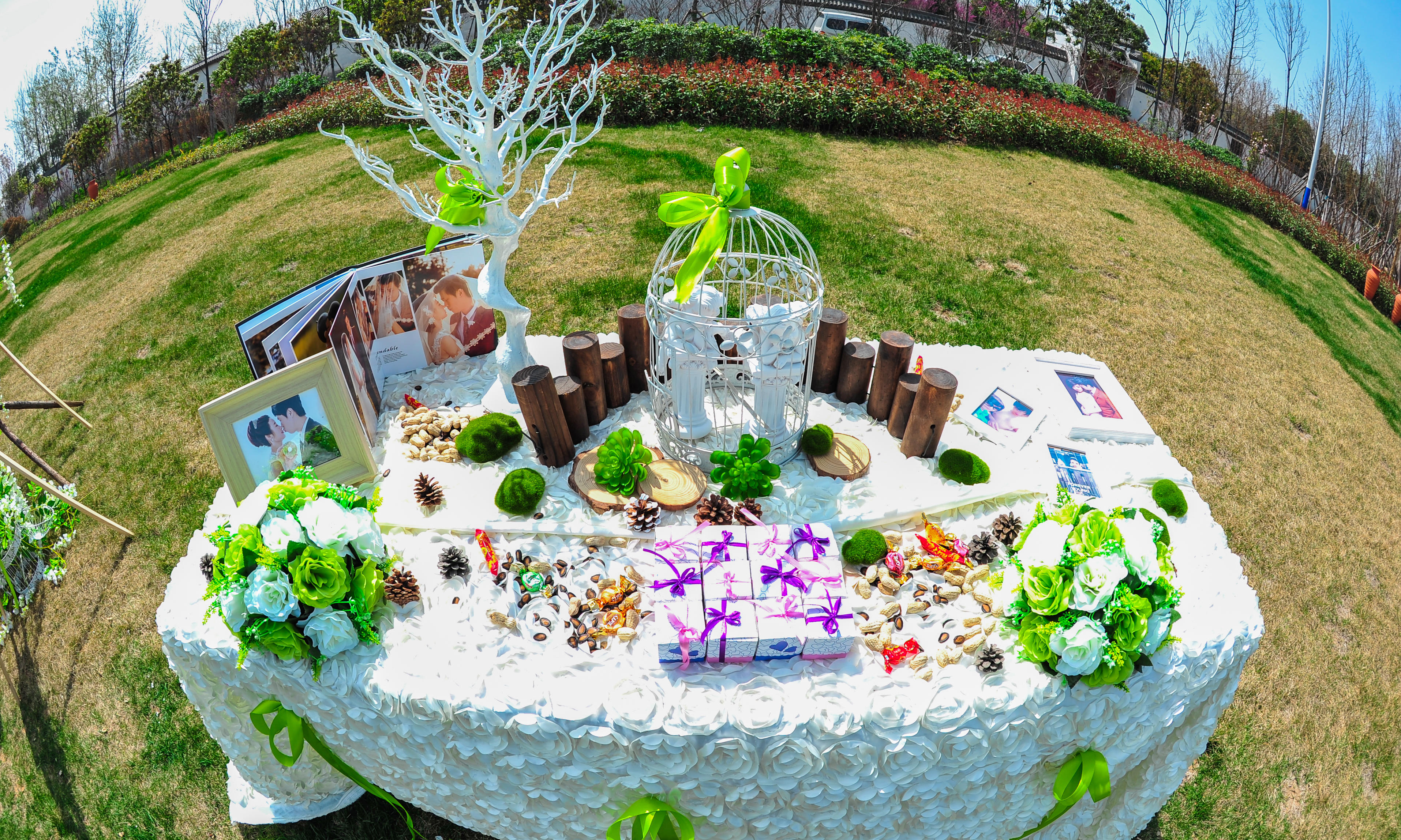 2015.3.28主题婚礼【茉莉香】