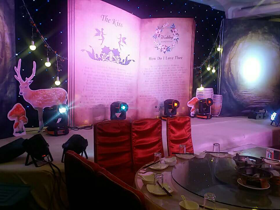 创意仪式-梦幻森林-精灵之吻