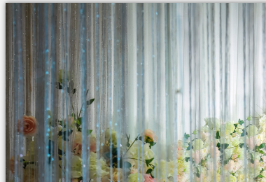 仁寿皇家婚礼——一见倾心