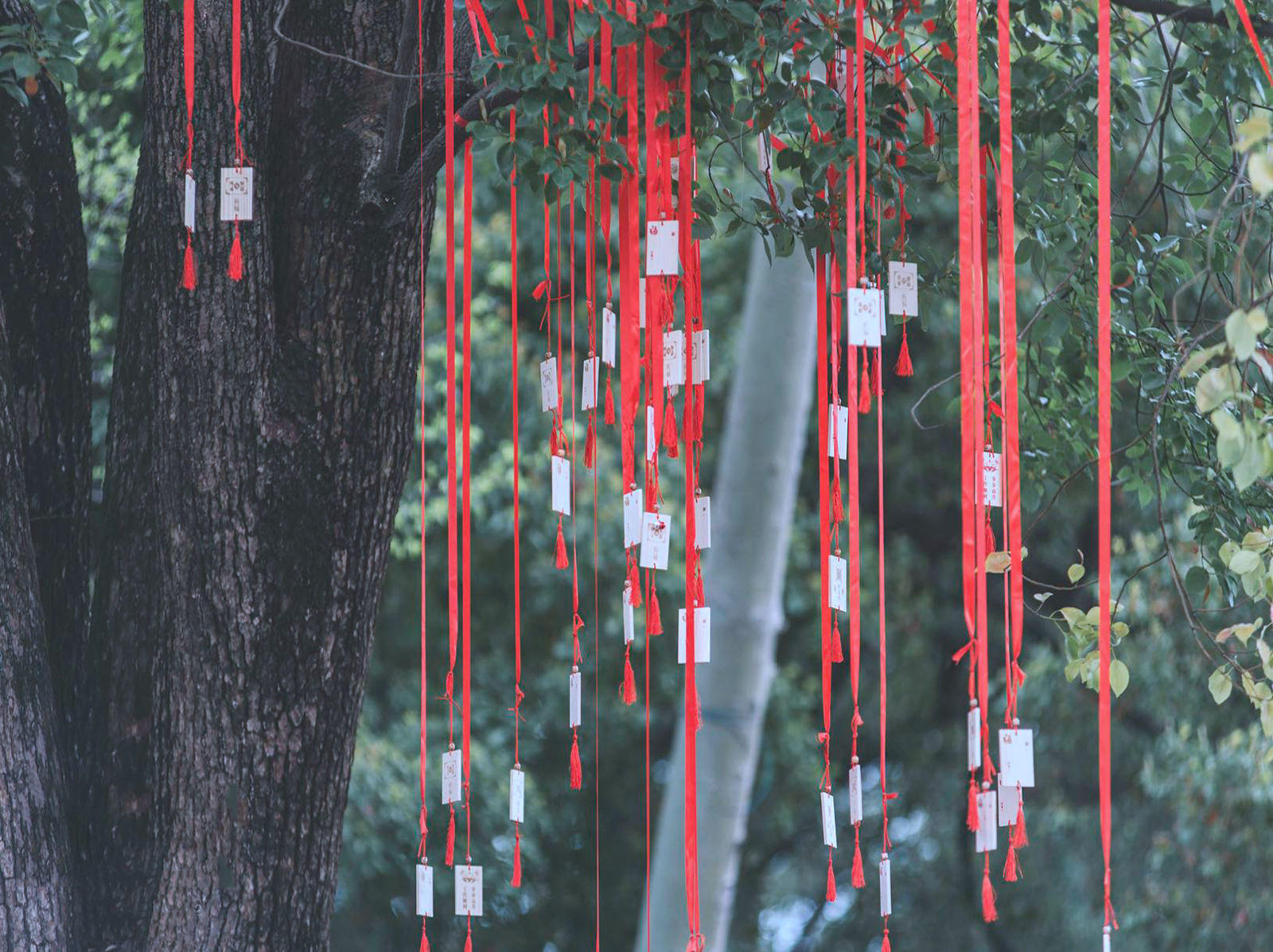 Wedjoy·日式户外ins