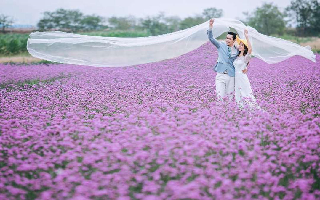 菲拉格慕皇室系列-菲拉格慕皇室系列