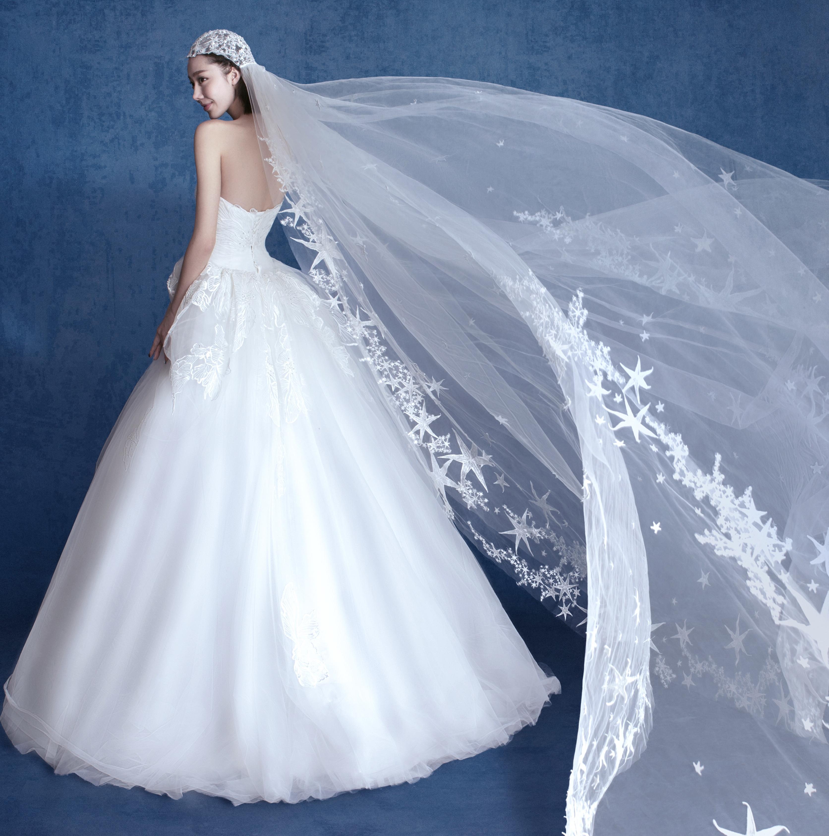 【超值租赁】致白小拖尾精选