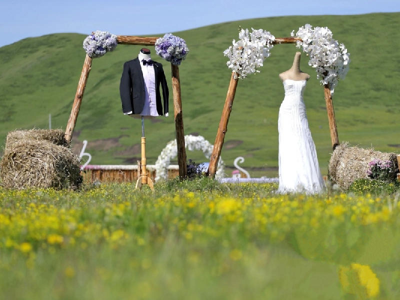 【嫁给你】格桑花の草原婚礼 一边旅行一边结婚系列