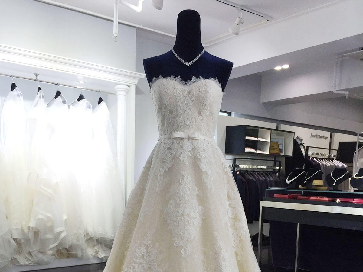 Pronovias 2016款到店，欢迎试纱