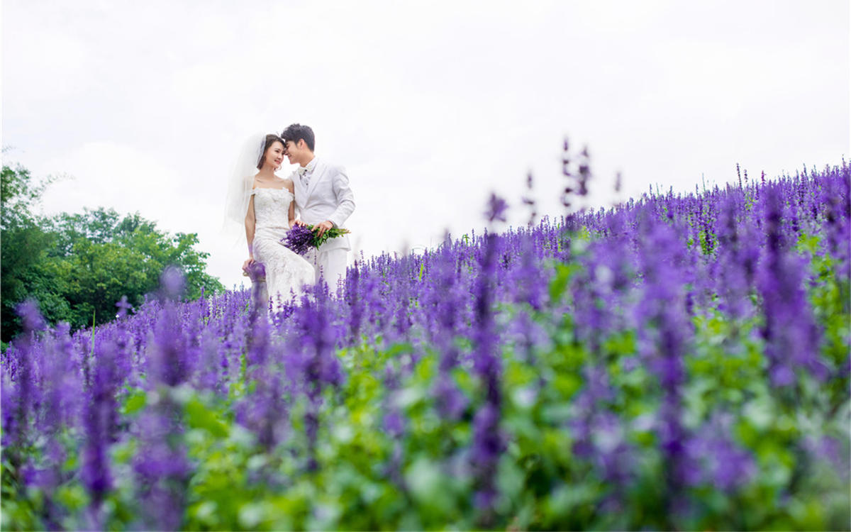 秒杀季！爆款限时限量发售