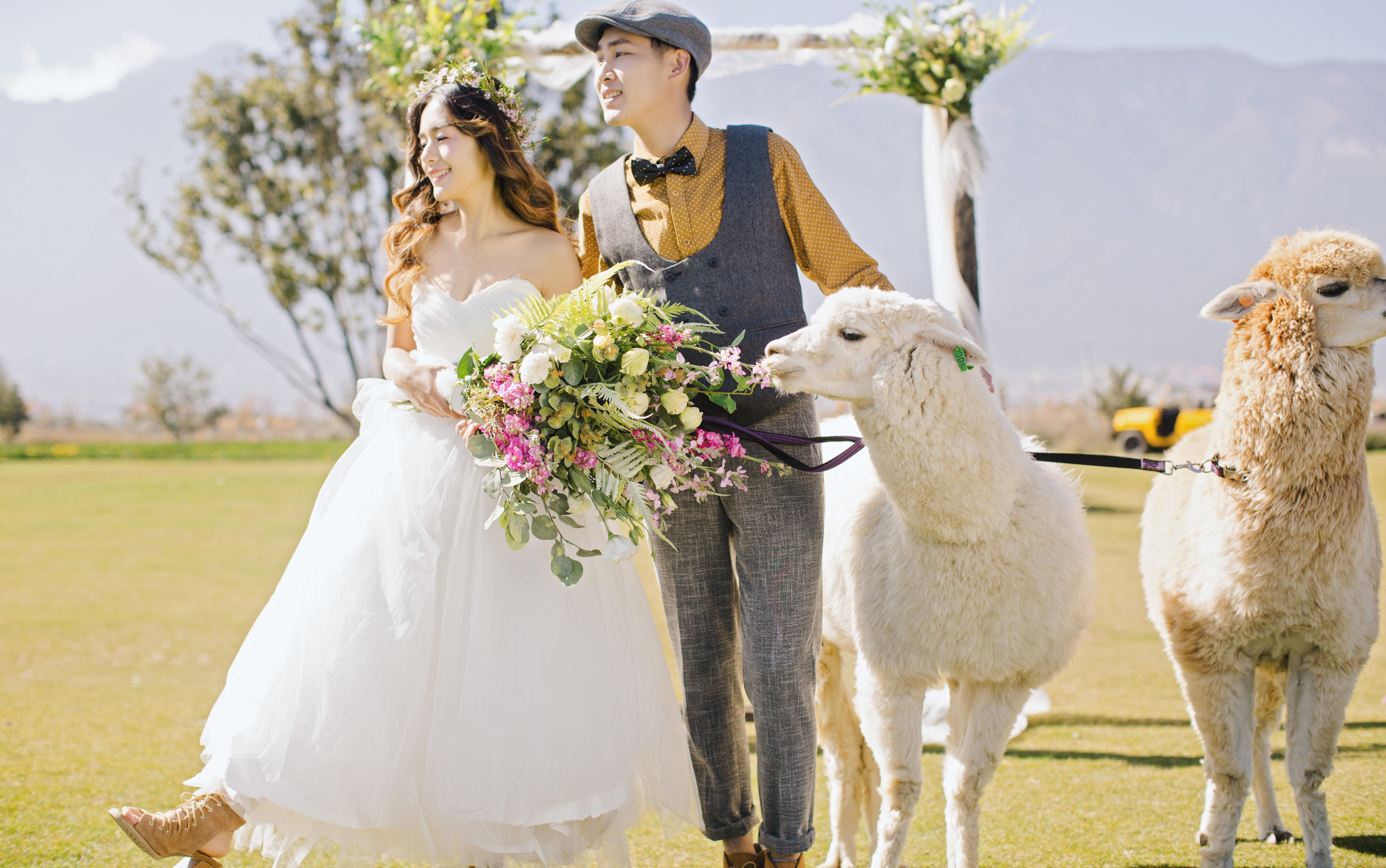 【大理一天档】大理环海+私人订制+风车山