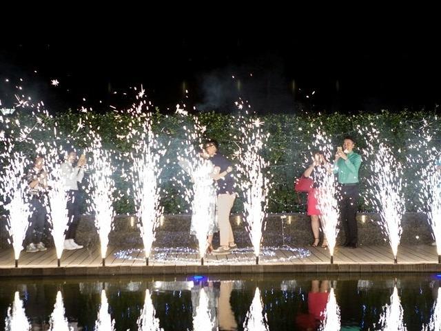 求婚——免费送求婚方案经典抢购《一见倾心》