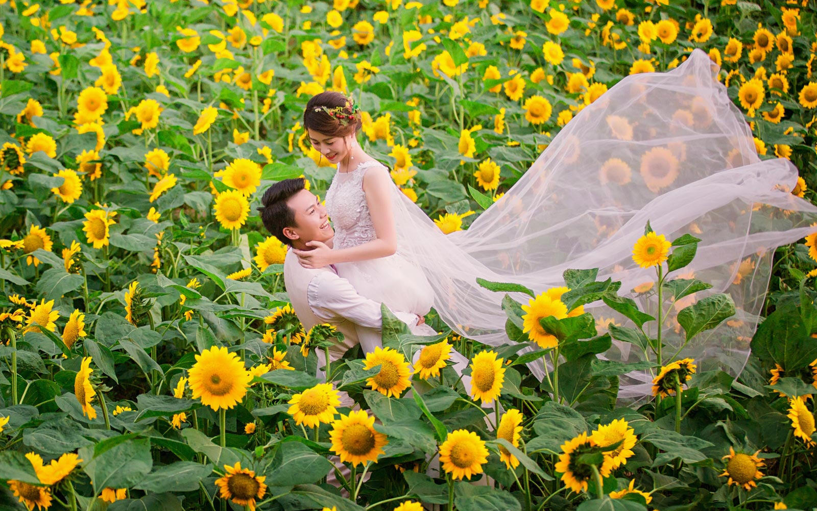 【浓情蜜意】爱影时光摄影经典套系