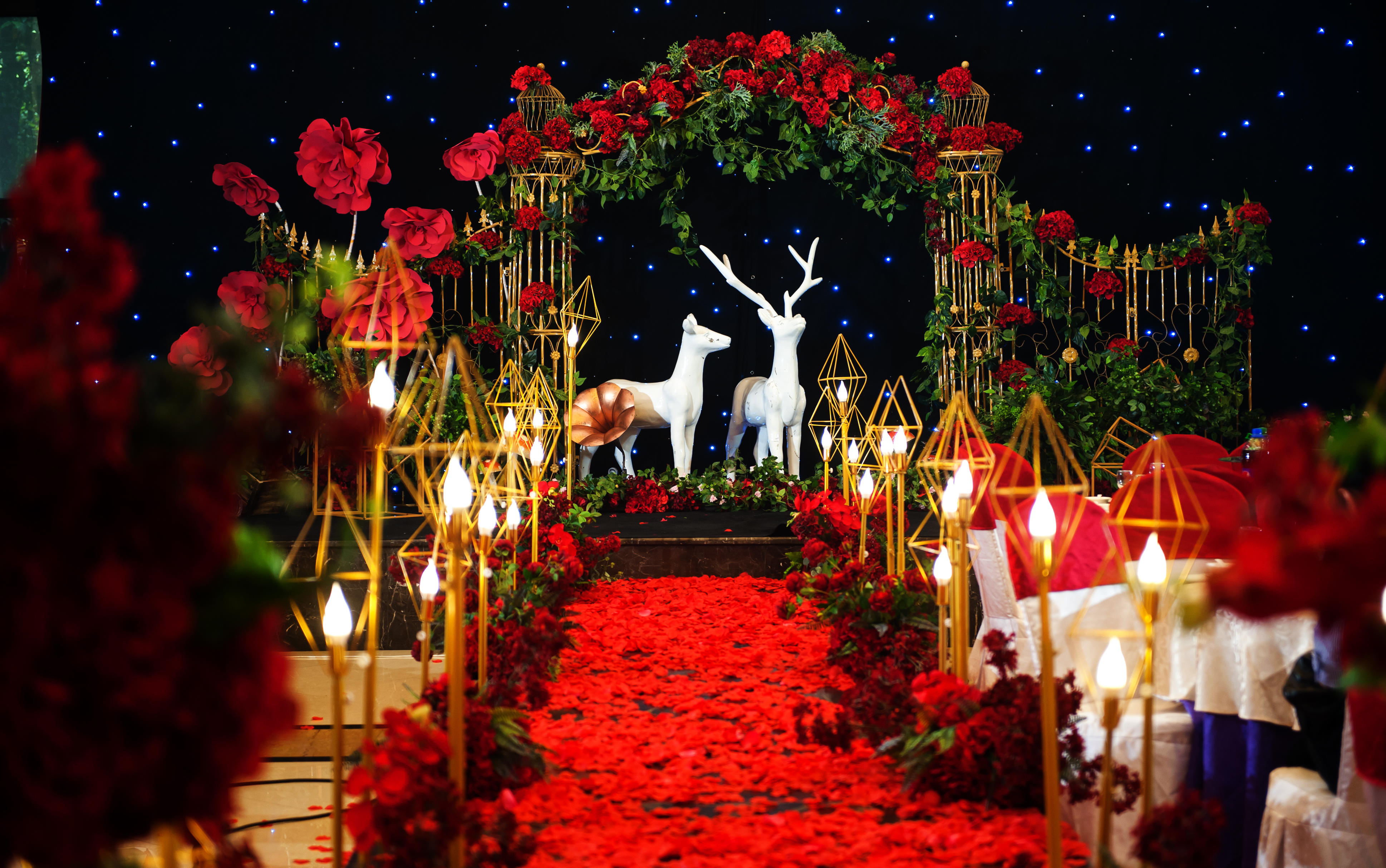 【麋鹿森林】之南仙庭酒楼现场