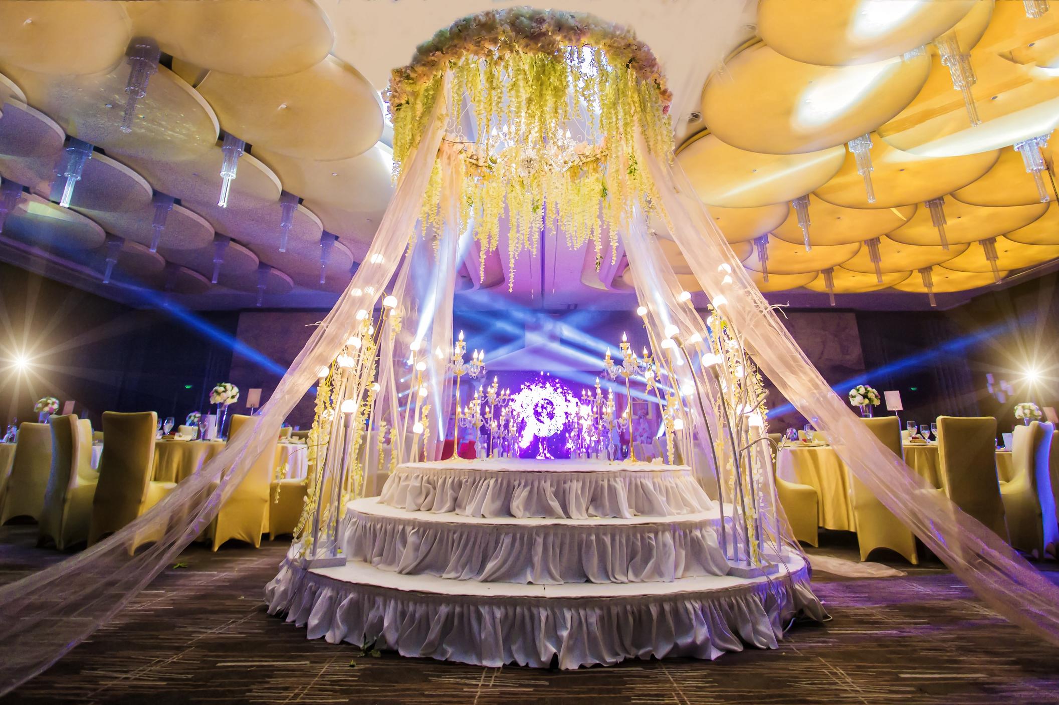 最美的绽放·遇见你