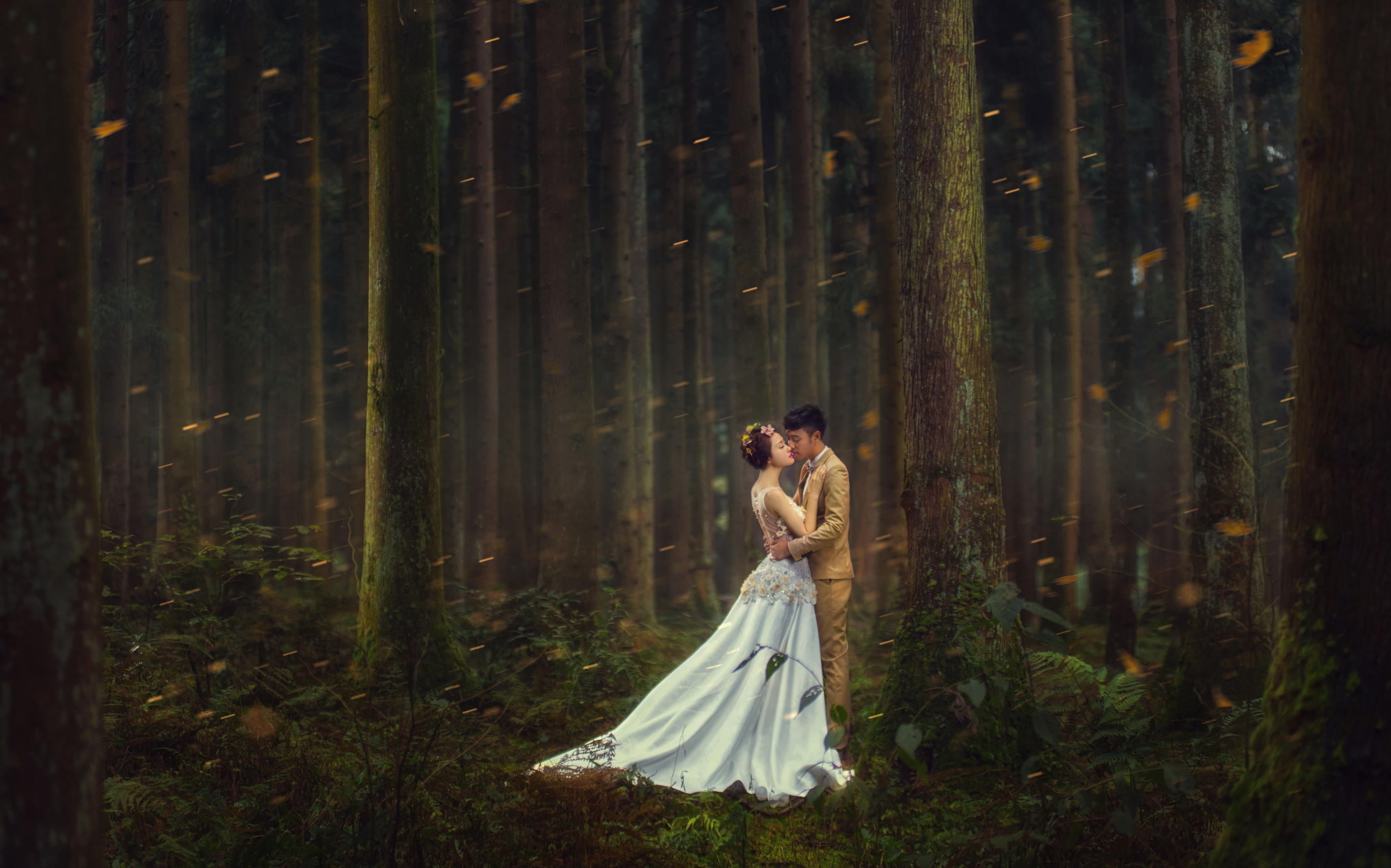 【索伦摄影】旅拍摄影工作室婚礼跟拍