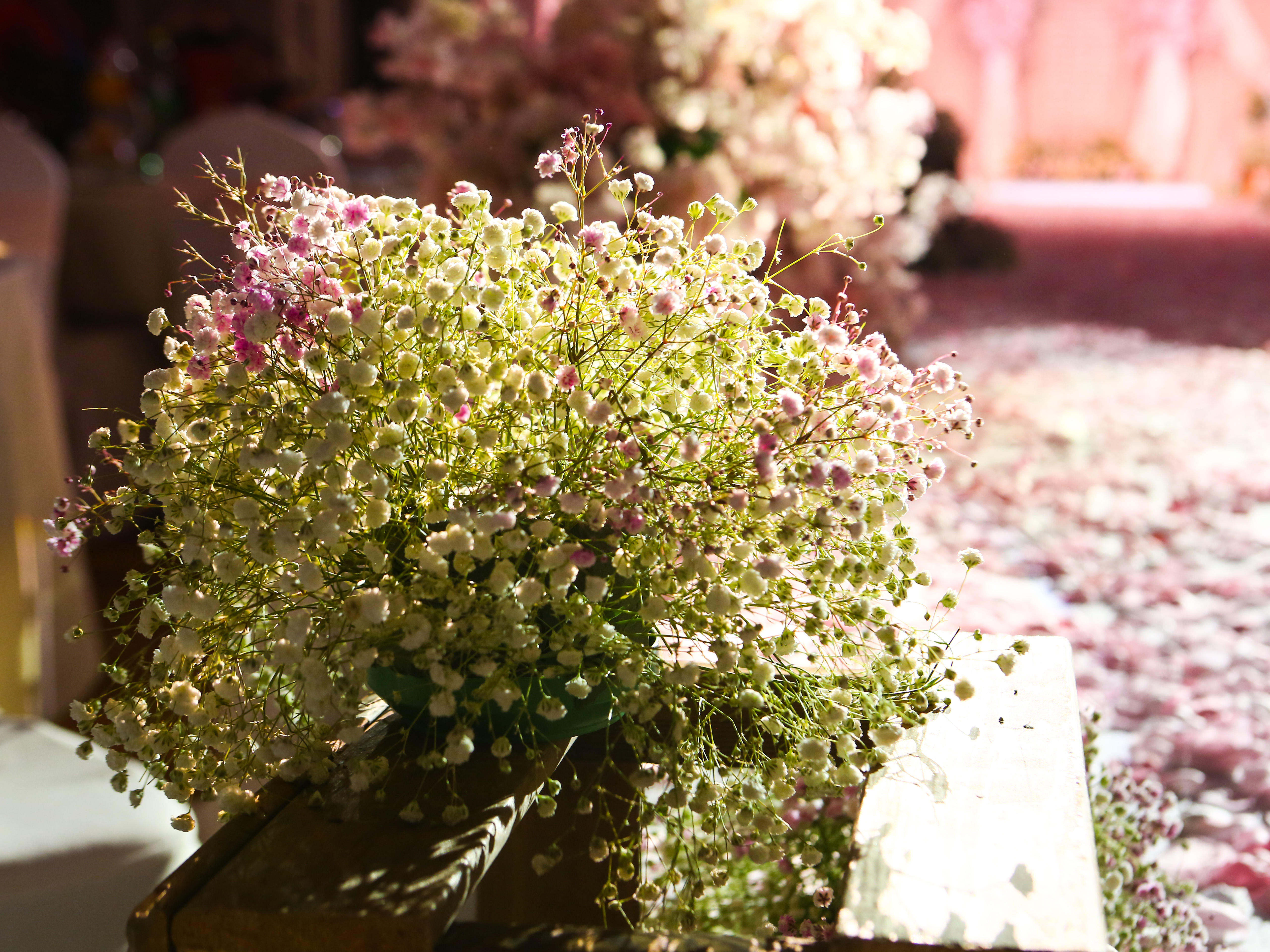 【爱度】余生-浪漫粉色主题婚礼