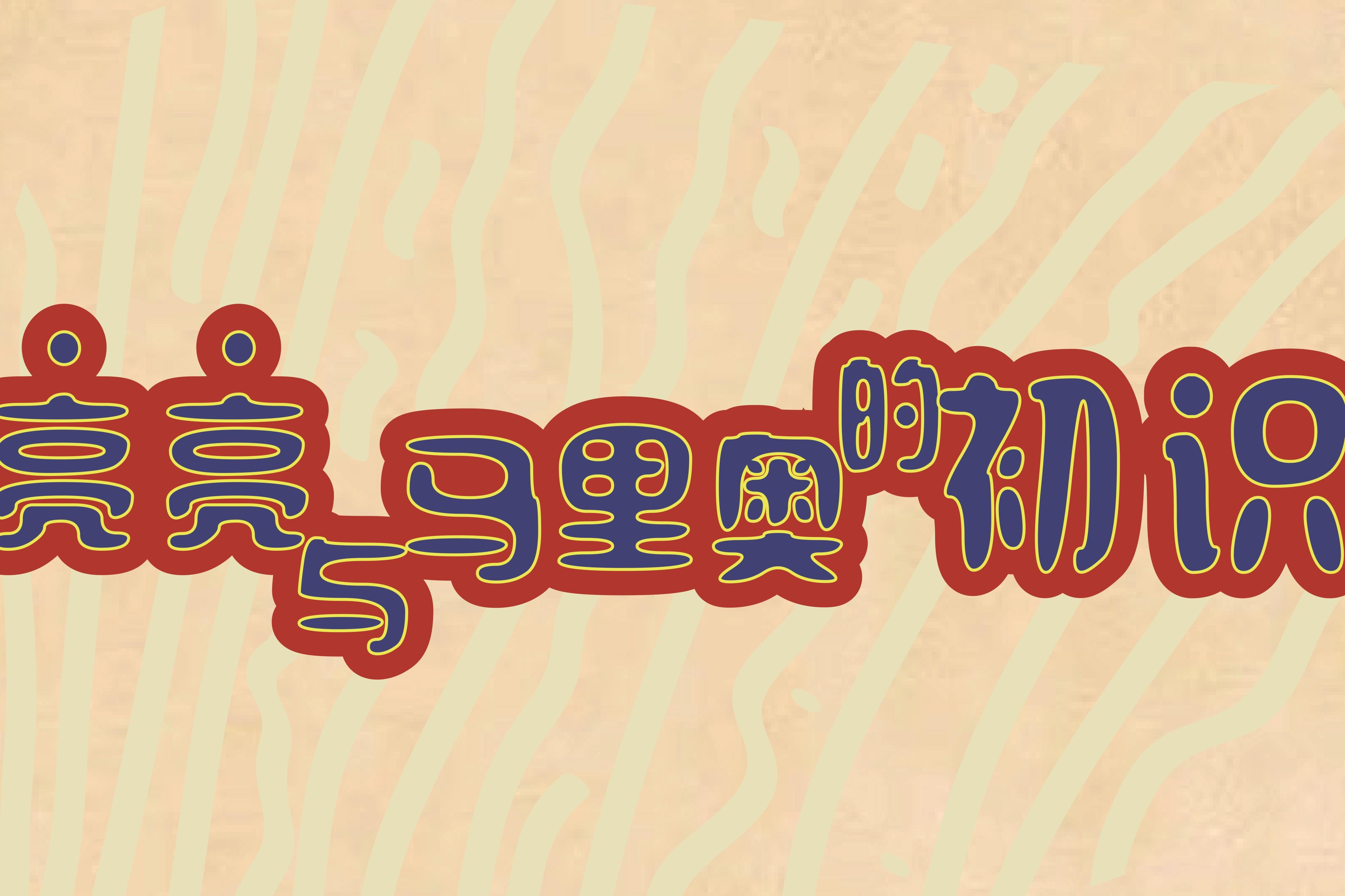 亮亮与马里奥初识