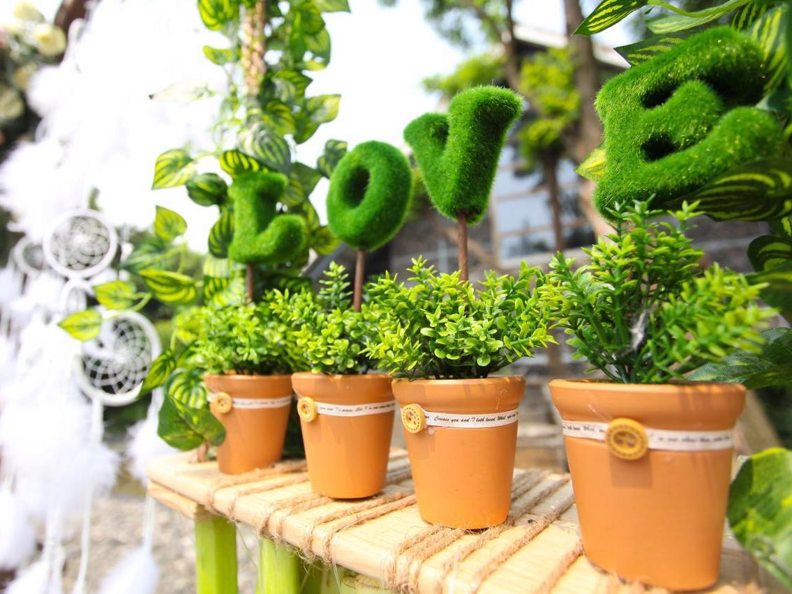 【梦随风动】定制户外婚礼全包套系