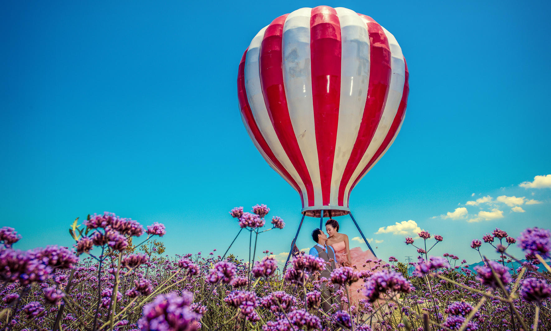 好评如潮 【带着狗狗拍婚纱照】3套拍出5套效果