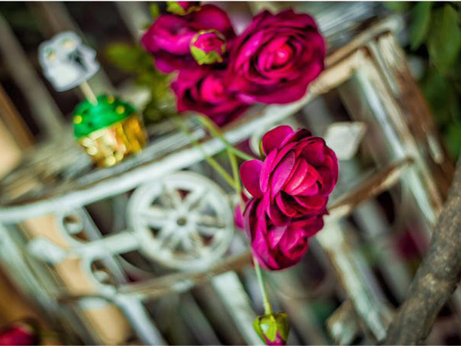 茗嫁坊婚礼顾问｛秘密花园｝