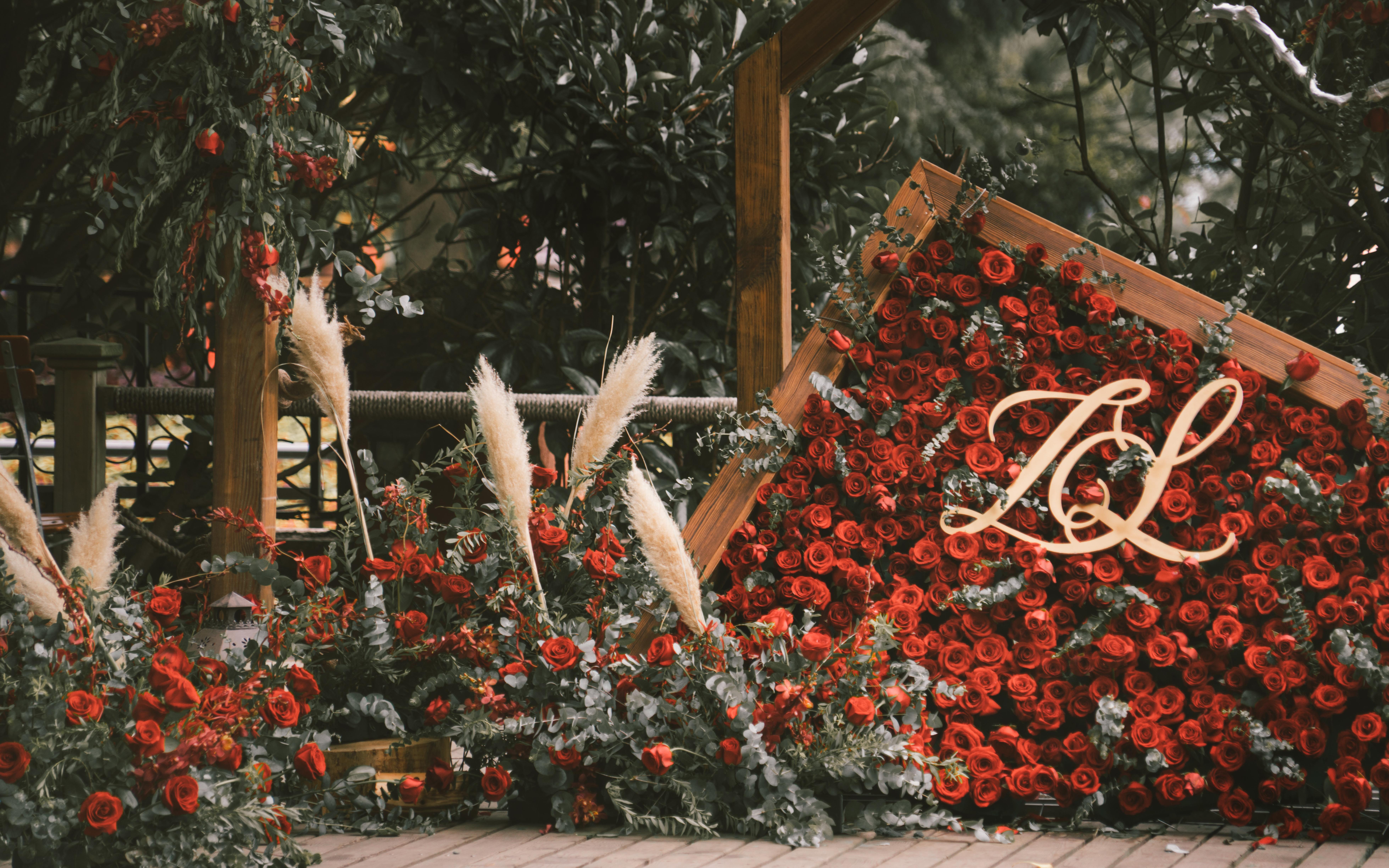 【绅薇婚礼】室外婚礼 · 第七朵玫瑰