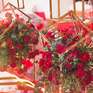【乐依婚礼】爱在花香 浪漫红玫瑰主题婚礼
