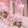 《云端花园》粉色主题婚礼 