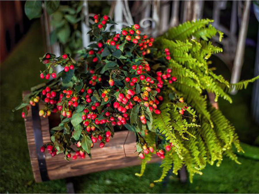 茗嫁坊婚礼顾问｛秘密花园｝