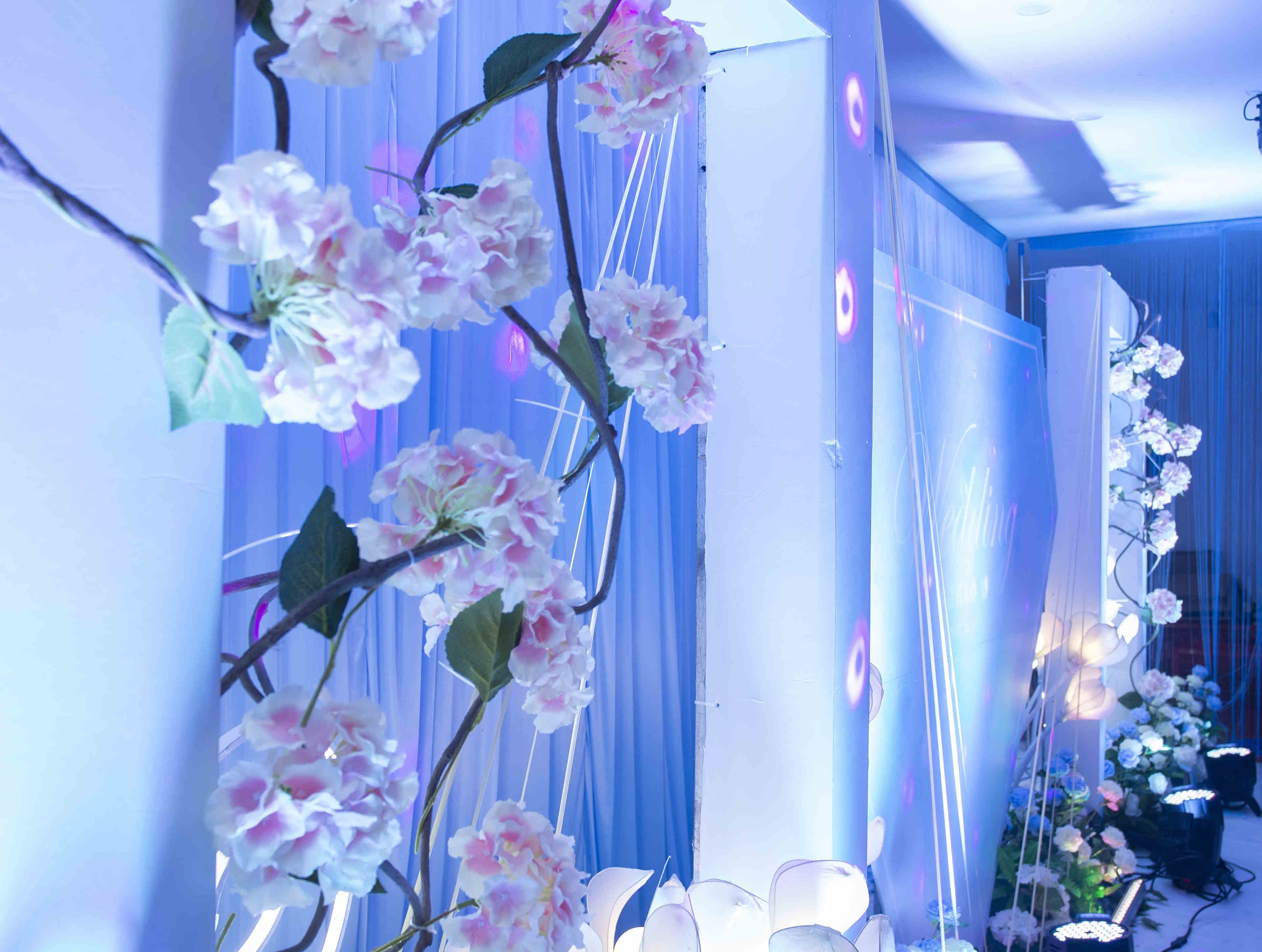 【阳光C套餐】LED婚礼布置+高级四大金刚