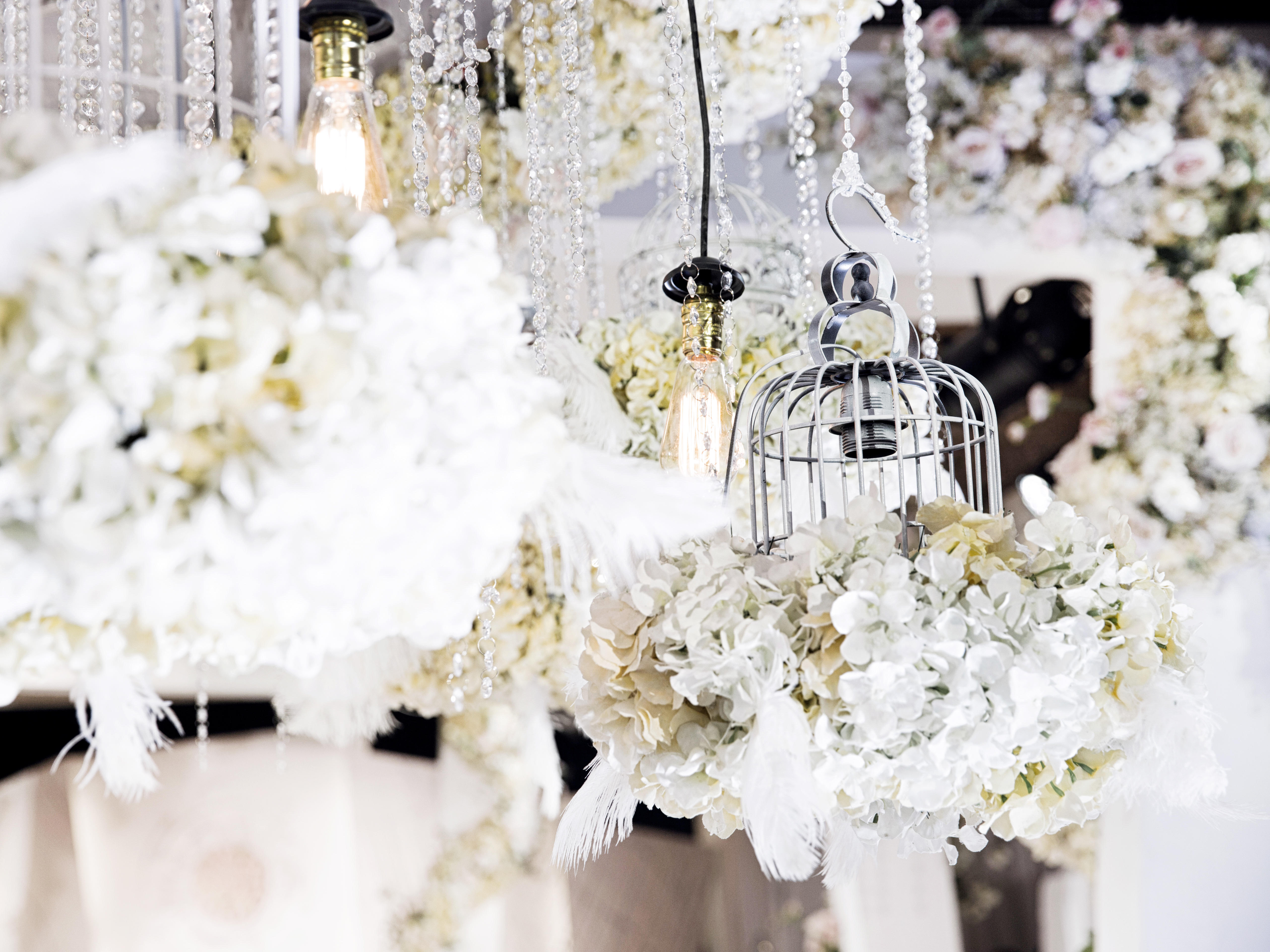 婚礼先生 酒店九天鹤 初见