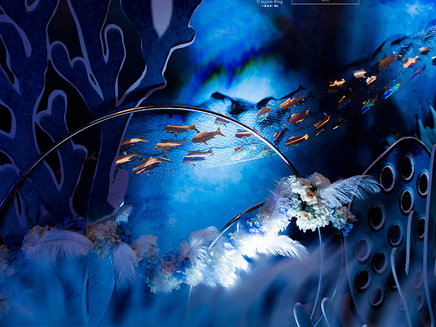 【爆款套餐】蓝色深海的秘密 海岛鱼说