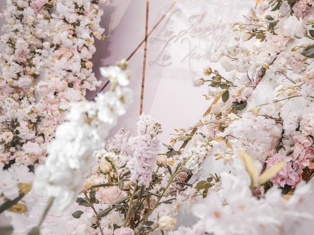 【大雅婚礼】粉色香槟金唯美小清新-暖风