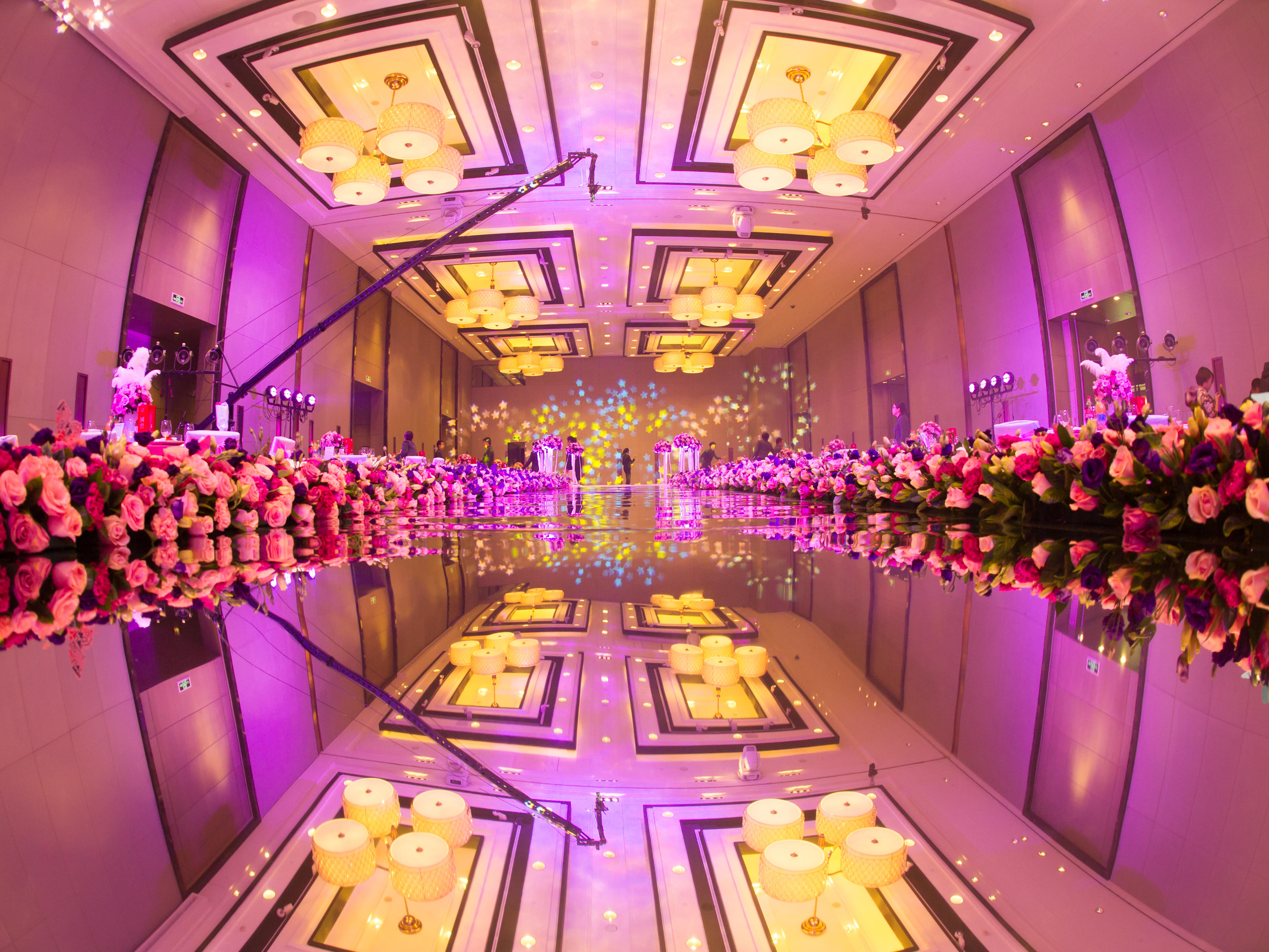 梦幻花园（Z&Z）