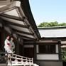 【日本大阪】历史名城|日式庭院|特色街拍