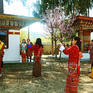 不丹高僧祈福海外婚礼，乐惟海外婚礼重庆店