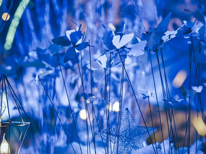  星球||日可鉴 月可证 爱不变