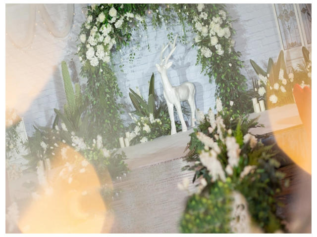 清新白绿色系婚礼（包含四大）