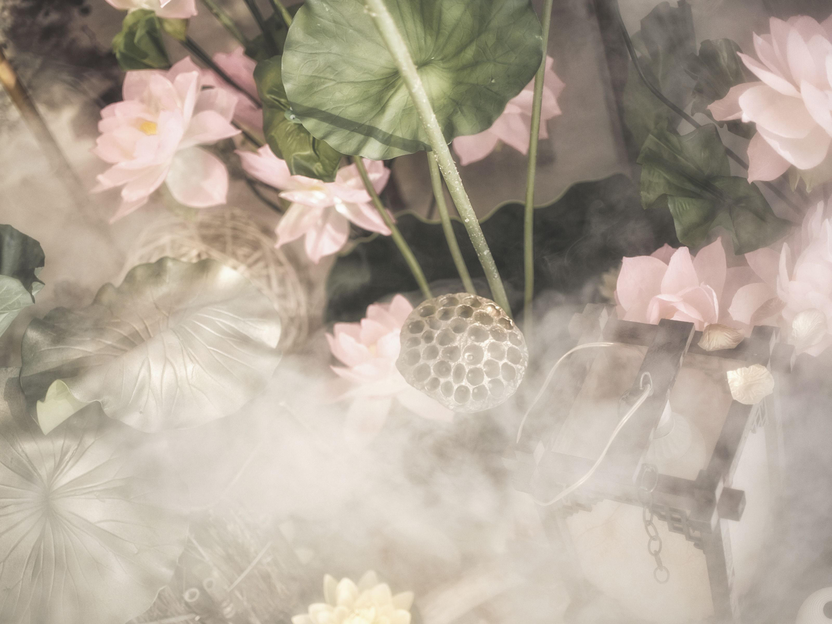 山水淡雅国风新中式·丹青荷丨DreamPark