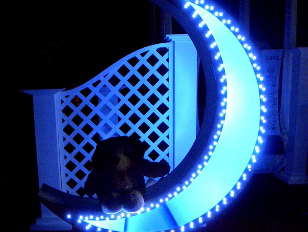 星月传奇 全鲜花镜面T台暗场仅9988元