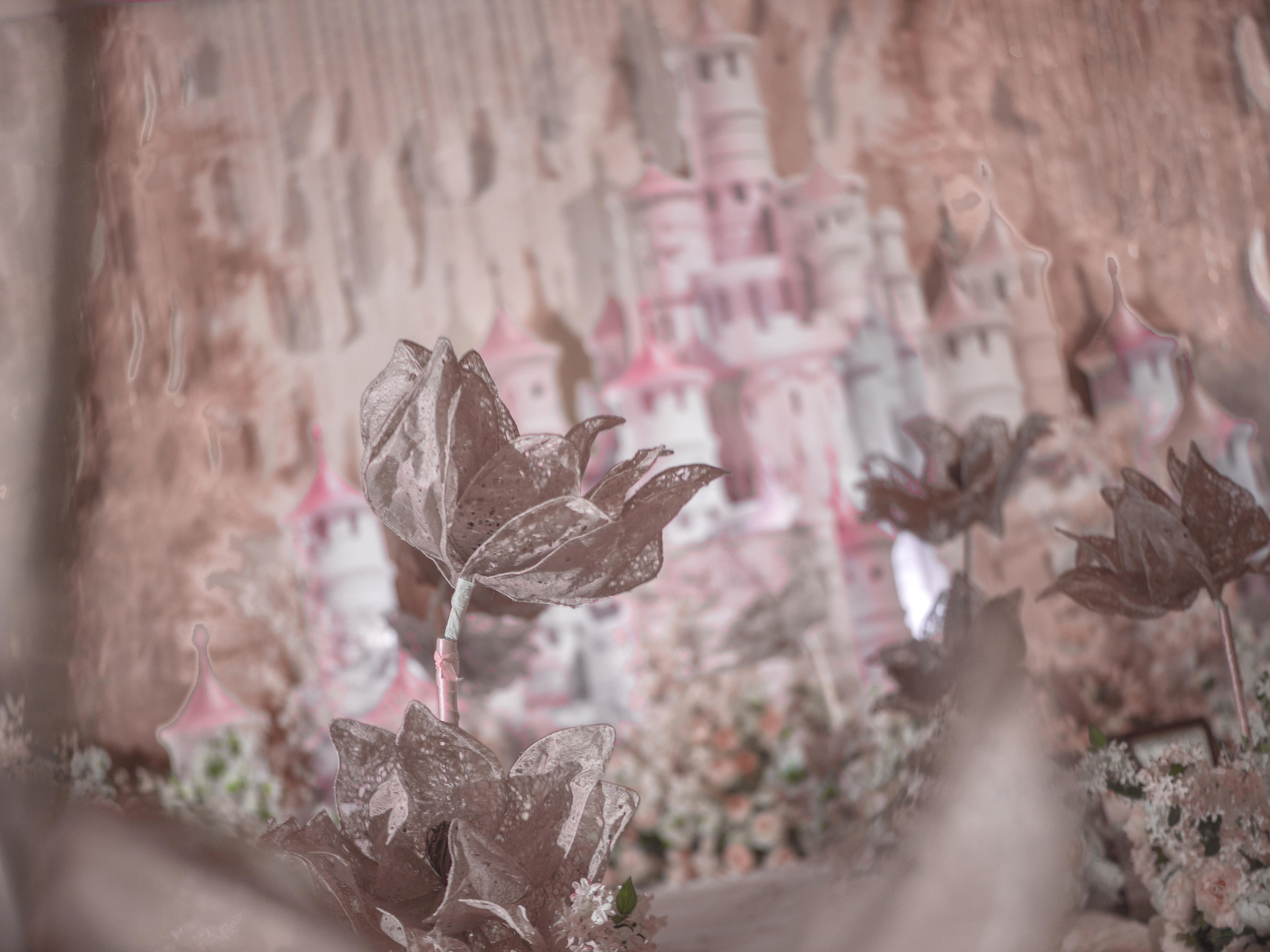 漫漫瑜城丨DreamPark·唯美浪漫创意系婚礼