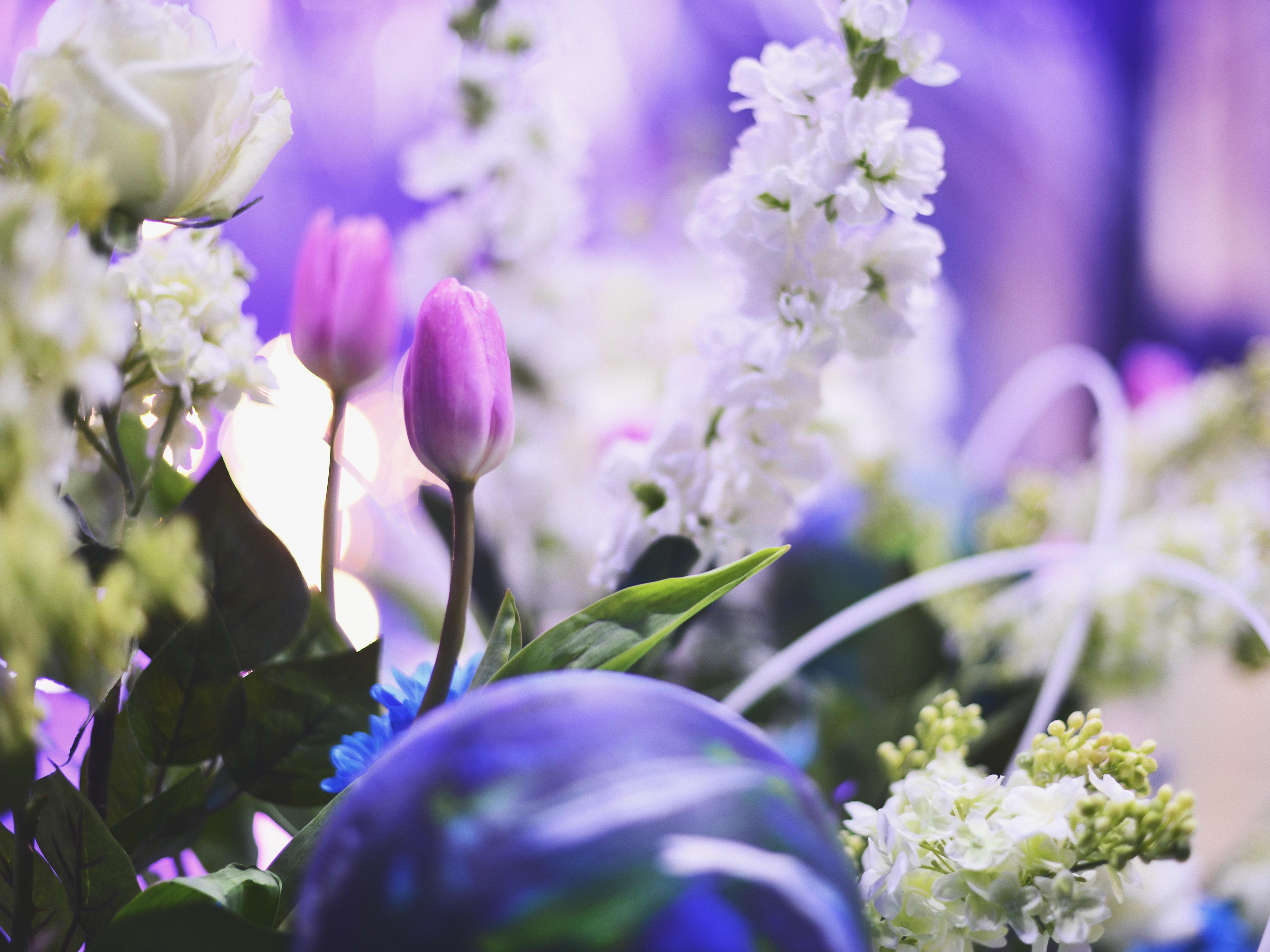 【东营宾馆】日月星辰 梦幻创意深色系星空布景